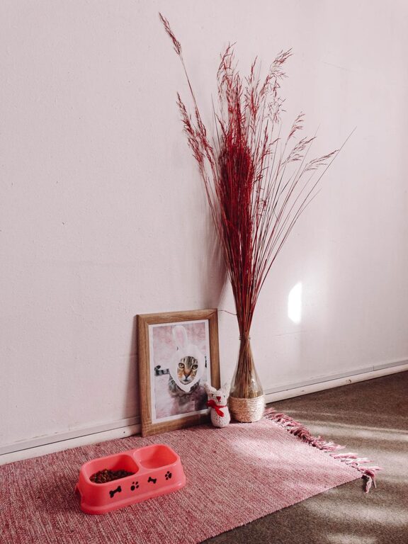 How to Set Up a Comfortable Pet-Friendly Home Corner